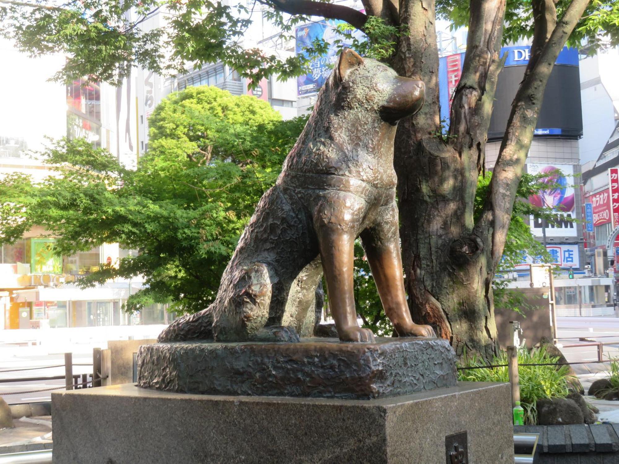 APA Hotel Shibuya Dogenzakaue Präfektur Tokio Exterior foto